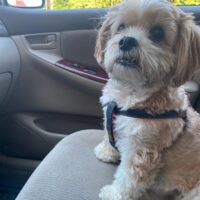 296BFF89-151C-49D5-A231-F0B8FBB2BC45